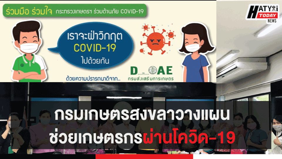 กรมเกษตรสงขลาวางแผนช่วยเกษตรกรผ่านโควิด-19