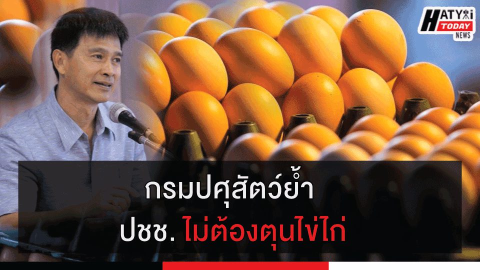 กรมปศุสัตว์เผยสงขลาผลิตไข่ไก่ได้ล้านฟอง ย้ำกักตุนผิดกฎหมาย