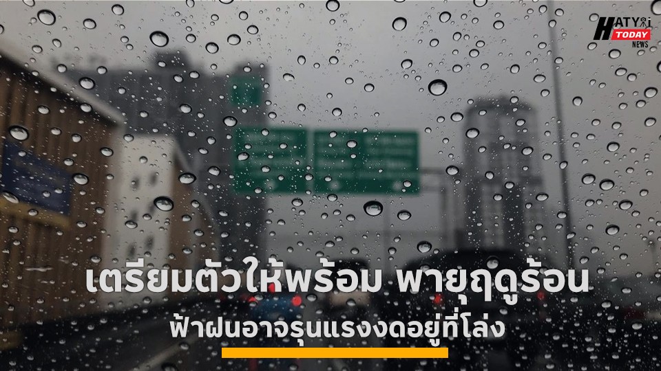 ปกฝนตก