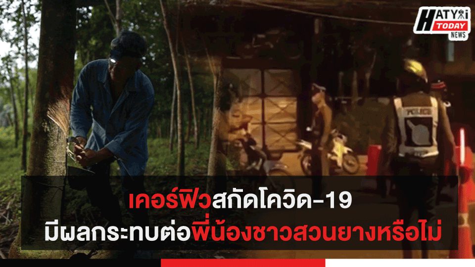 เคอร์ฟิวสกัดโควิด-19 มีผลกระทบต่อพี่น้องสวนยางหรือไม่