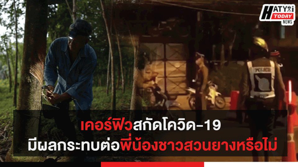 เคอร์ฟิวสกัดโควิด-19 มีผลกระทบต่อพี่น้องสวนยางหรือไม่