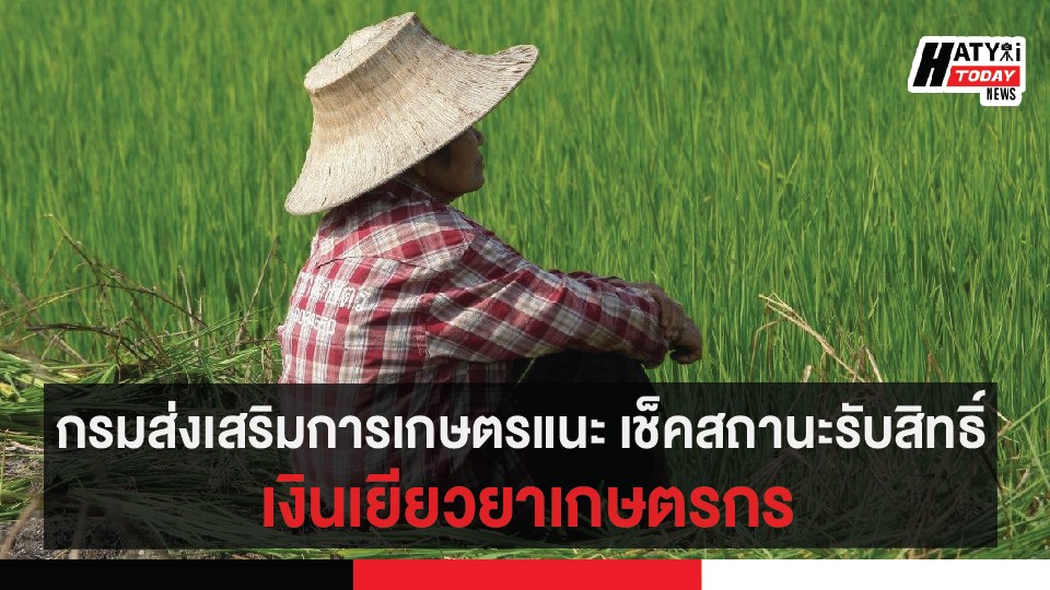 กรมส่งเสริมการเกษตรแนะ เช็คสถานะรับสิทธิ์ เงินเยียวยาเกษตรกร