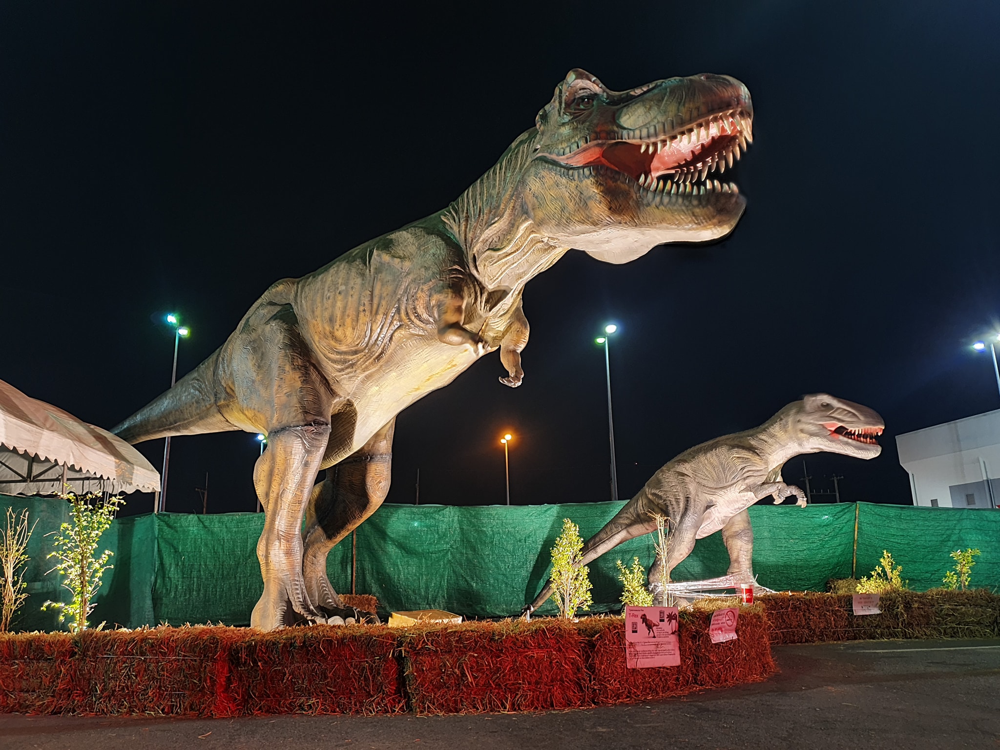 ไดโนเสาร์บุกมาเยือนหาดใหญ่ เปิดให้ชมพรุ่งนี้ 25 มิ.ย.63 ที่ห้างไดอาน่า