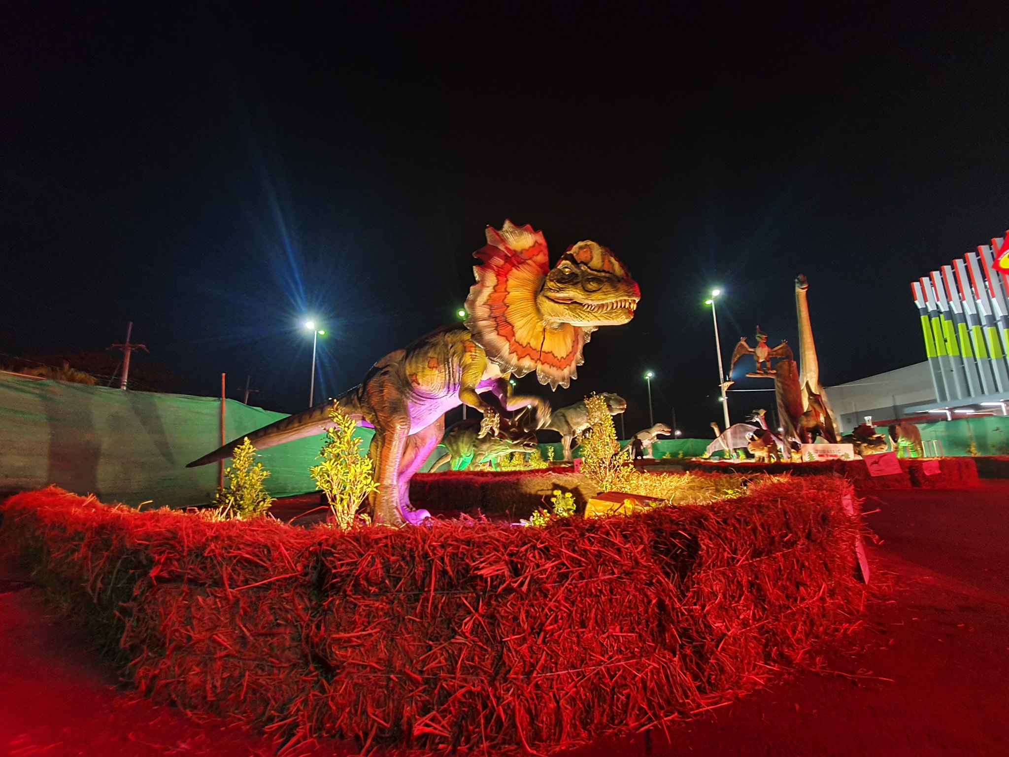 ไดโนเสาร์บุกมาเยือนหาดใหญ่ เปิดให้ชมพรุ่งนี้ 25 มิ.ย.63 ที่ห้างไดอาน่า