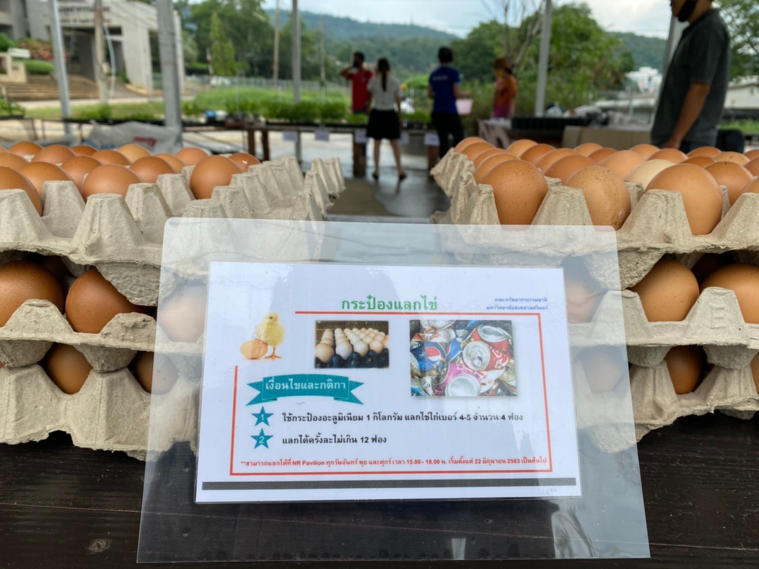 คณะทรัพยากรธรรมชาติ ม.อ. หาดใหญ่ จัดกิจกรรม "กระป๋อง แลกไข่ไก่" และ "ขวดพลาสติก แลกต้นกล้า" 2 ไข่ไก่