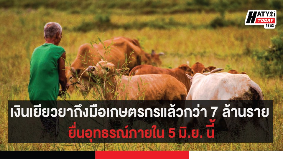 ปกข่าวสำหรับเฟส [recovered] 01