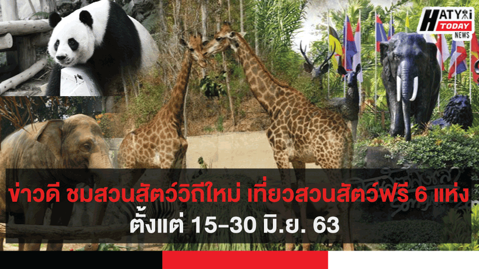 ข่าวดี ชมสวนสัตว์วิถีใหม่ เที่ยวสวนสัตว์ฟรี 6 แห่ง ตั้งแต่ 15-30 มิ.ย. 63