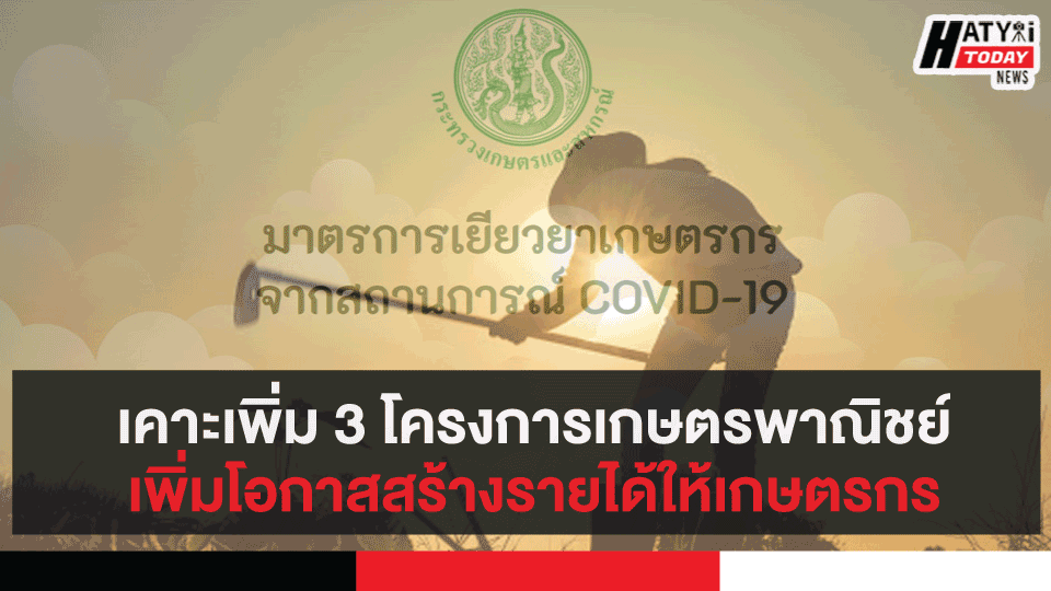 เคาะเพิ่ม 3 โครงการเกษตรพาณิชย์ เพิ่มโอกาสสร้างรายได้ให้เกษตรกร