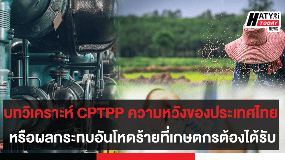 บทวิเคราะห์ CPTPP ความหวังของประเทศไทย หรือผลกระทบอันโหดร้ายที่เกษตกรต้องได้รับ