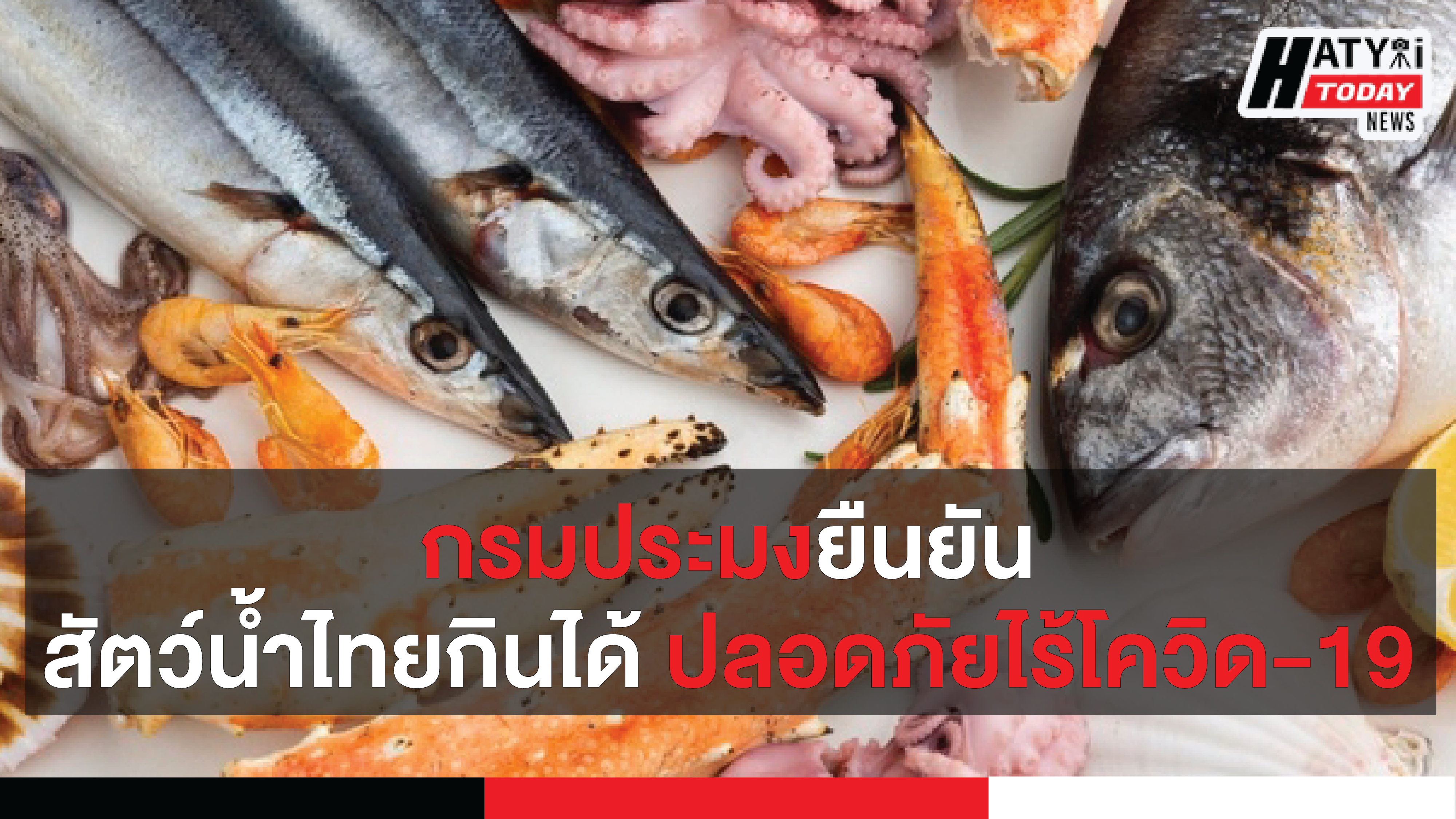 กรมประมงยืนยันสินค้าสัตว์น้ำไทยกินได้ ปลอดภัยไร้โควิด-19