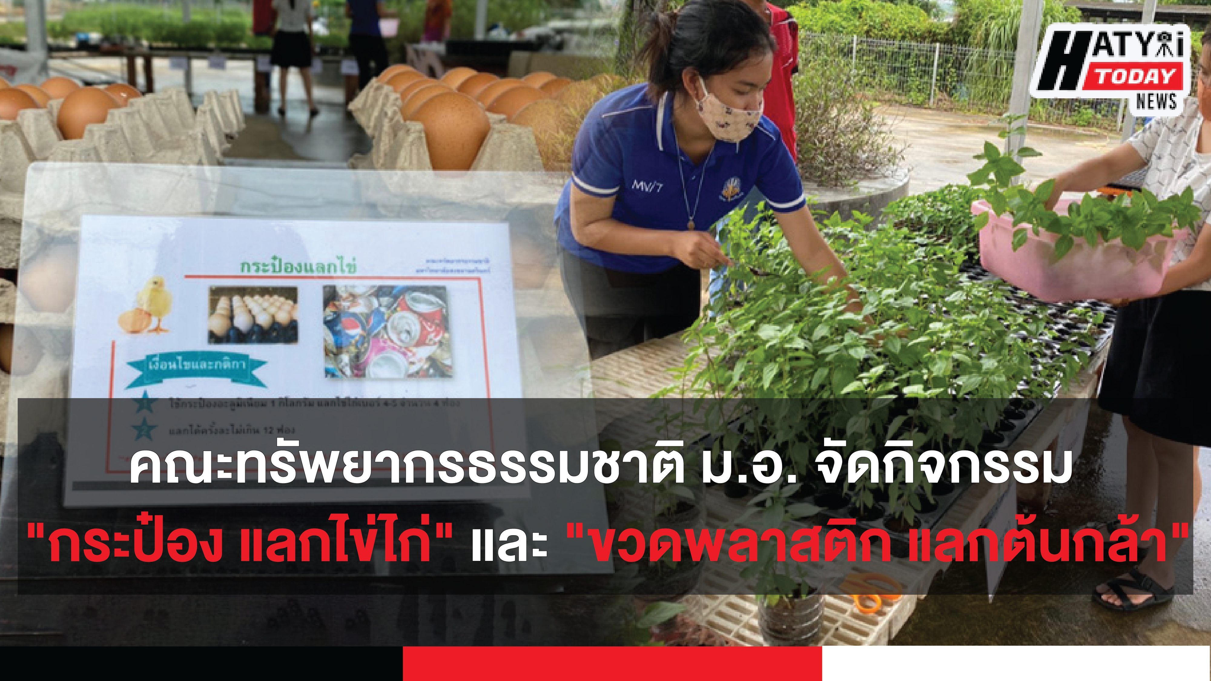 คณะทรัพยากรธรรมชาติ ม.อ. หาดใหญ่ จัดกิจกรรม “กระป๋อง แลกไข่ไก่” และ “ขวดพลาสติก แลกต้นกล้า”