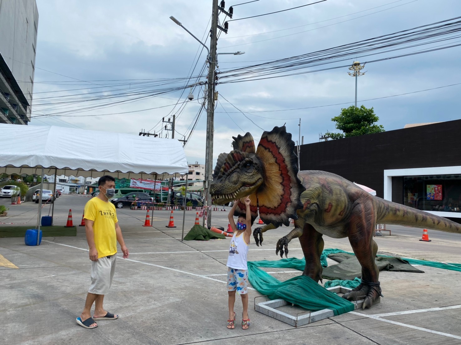 ไดโนเสาร์บุกมาเยือนหาดใหญ่ เปิดให้ชมพรุ่งนี้ 25 มิ.ย.63 ที่ห้างไดอาน่า