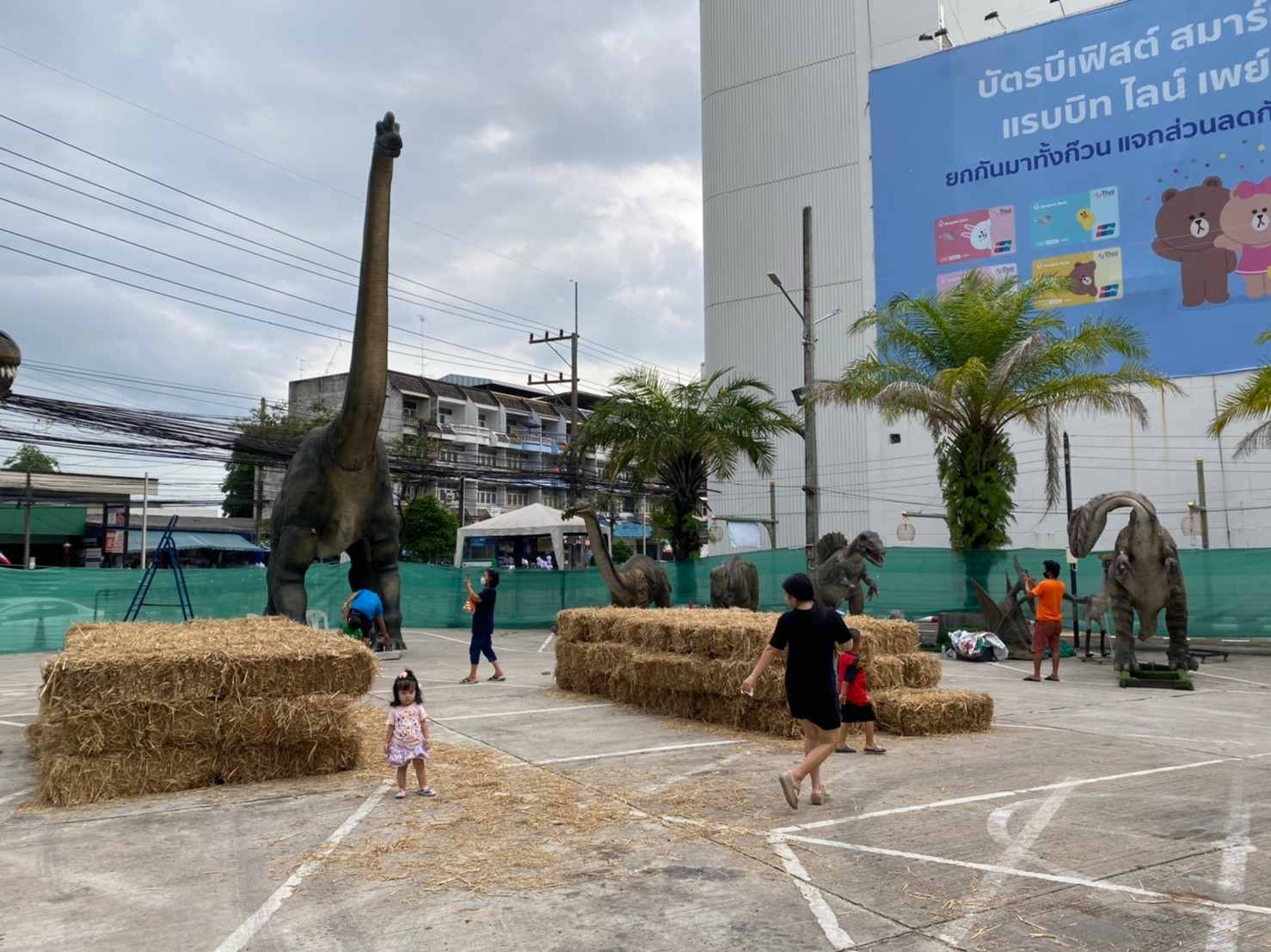 ไดโนเสาร์บุกมาเยือนหาดใหญ่ เปิดให้ชมพรุ่งนี้ 25 มิ.ย.63 ที่ห้างไดอาน่า