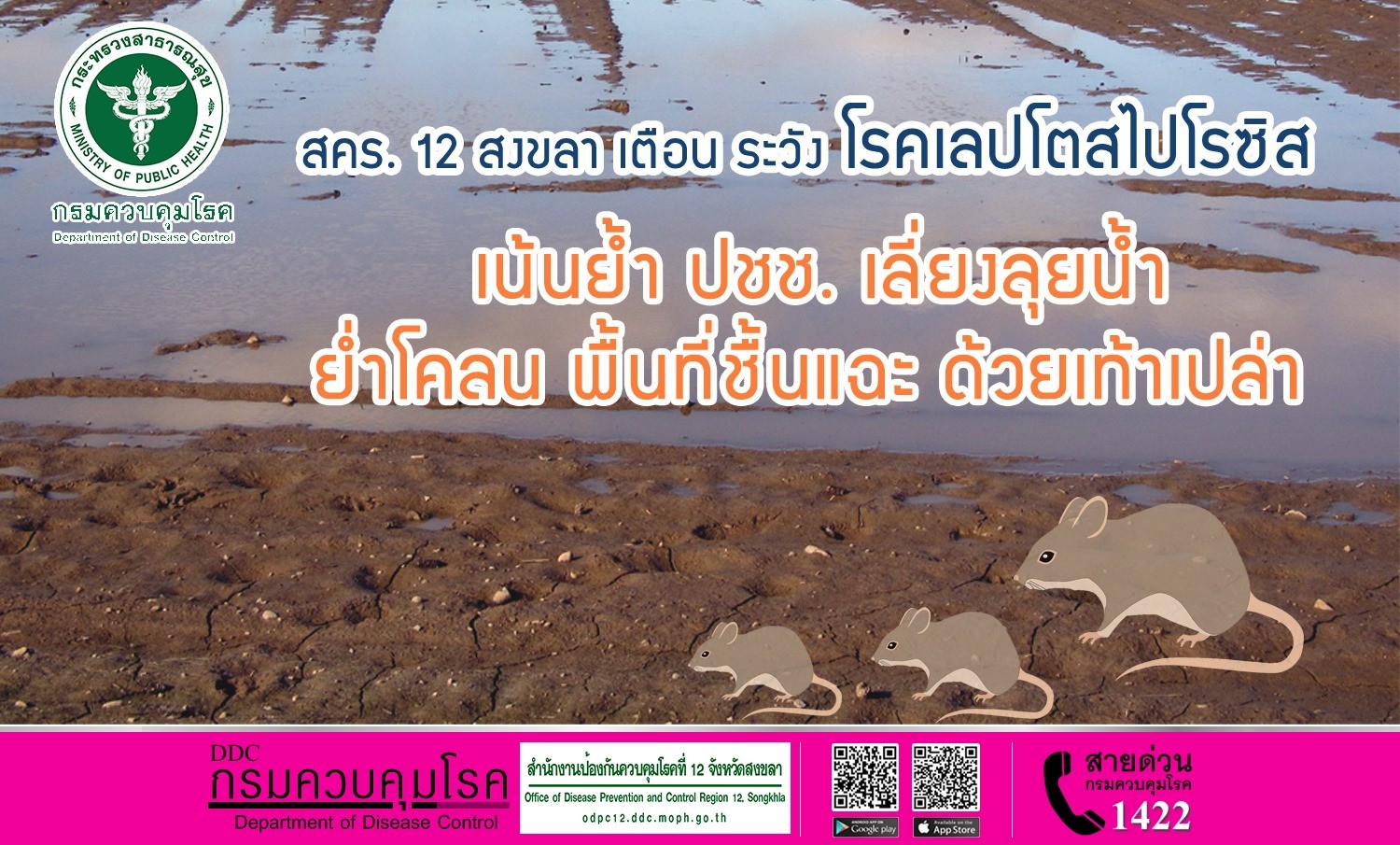 สำนักงานป้องกันควบคุมโรคที่ 12 จังหวัดสงขลา