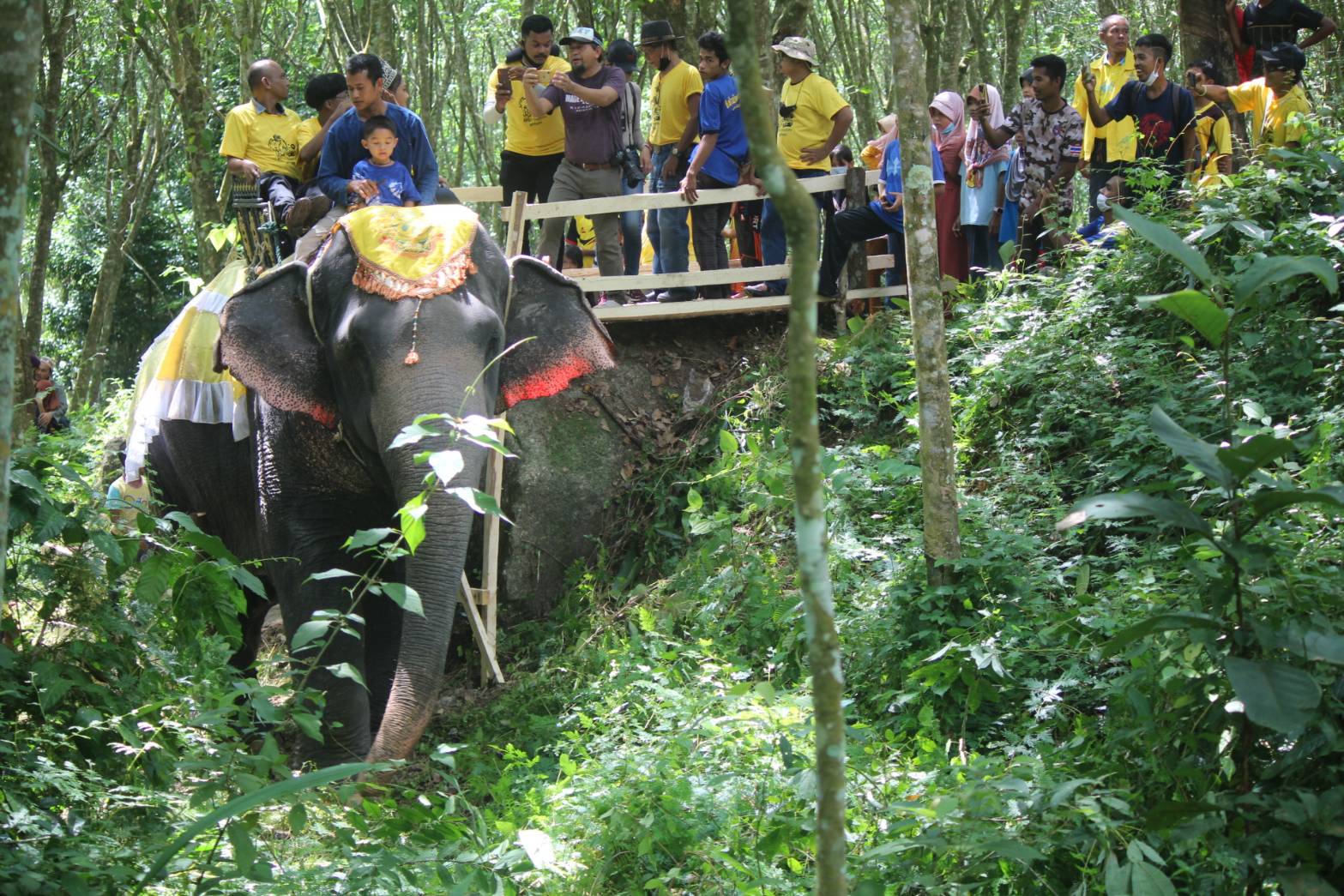 ชาวตำบลกาลอ จ.ยะลา จัดกิจกรรมบุฟเฟ่ต์ทุเรียน“ขี่ช้าง กินทุเรียน แช่น้ำตก”หวังสร้างแบรนด์ทุเรียนให้เป็นที่รู้จัก