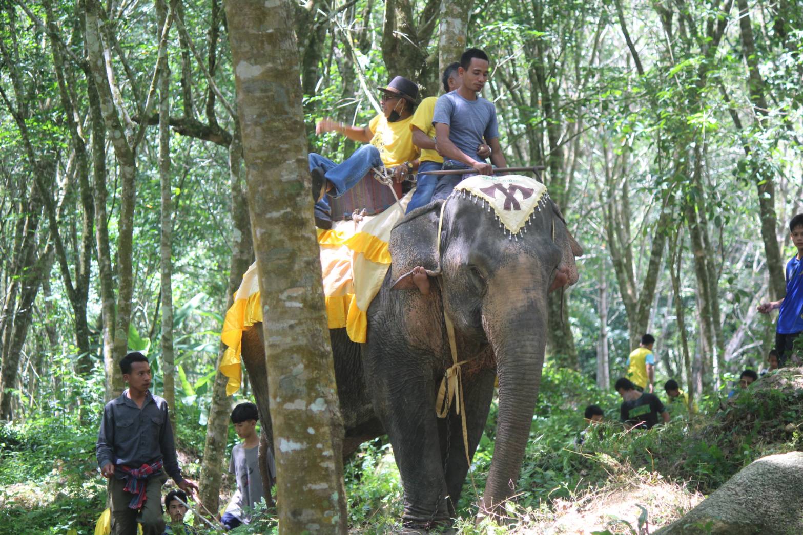 ชาวตำบลกาลอ จ.ยะลา จัดกิจกรรมบุฟเฟ่ต์ทุเรียน“ขี่ช้าง กินทุเรียน แช่น้ำตก”หวังสร้างแบรนด์ทุเรียนให้เป็นที่รู้จัก