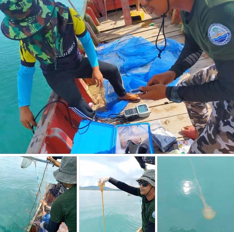 หาดสมิหลา สงขลา ยังไม่พ้นวิกฤตแมงกะพรุนพิษ ยังคงพบเด็กถูกแมงกะพรุนพิษ 