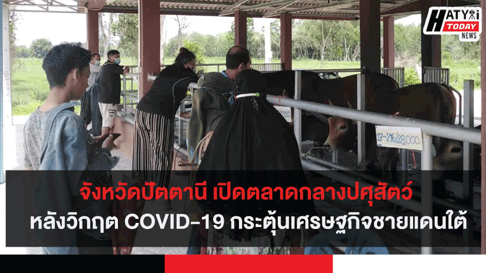 จังหวัดปัตตานี เปิดตลาดกลางปศุสัตว์ หลังวิกฤต COVID-19 กระตุ้นเศรษฐกิจชายแดนใต้