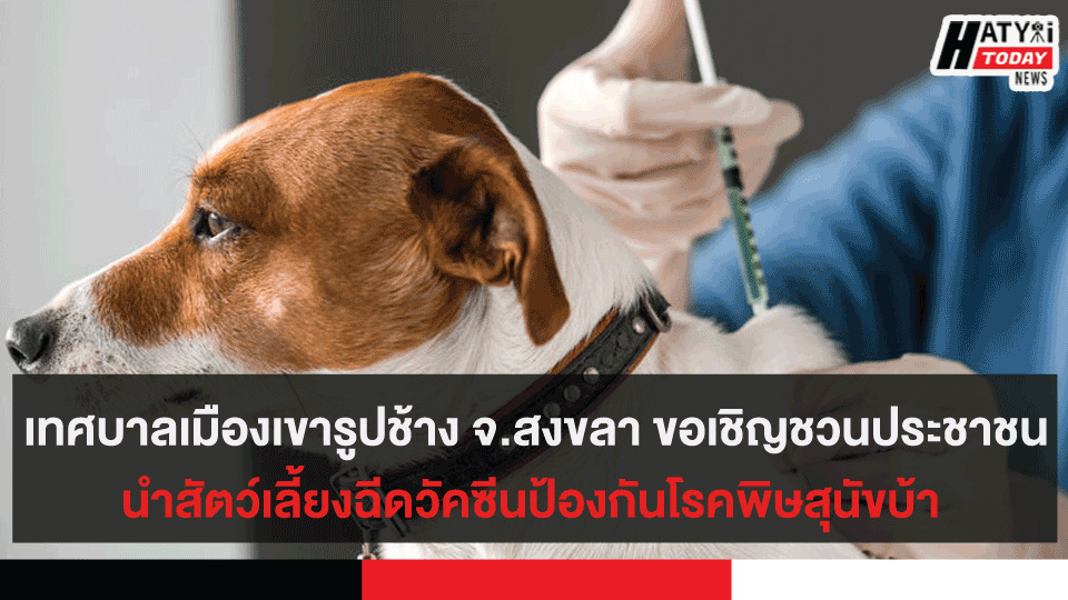  เทศบาลเมืองเขารูปช้าง จ.สงขลา ขอเชิญชวนประชาชนนำสัตว์เลี้ยงฉีดวัคซีนป้องกันโรคพิษสุนัขบ้า