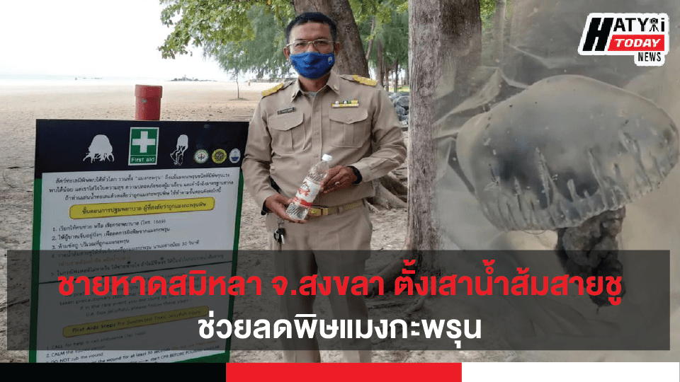 ชายหาดสมิหลา สงขลา ตั้งป้ายประชาสัมพันธ์และเสาน้ำส้มสายชูช่วยลดพิษแมงกะพรุน