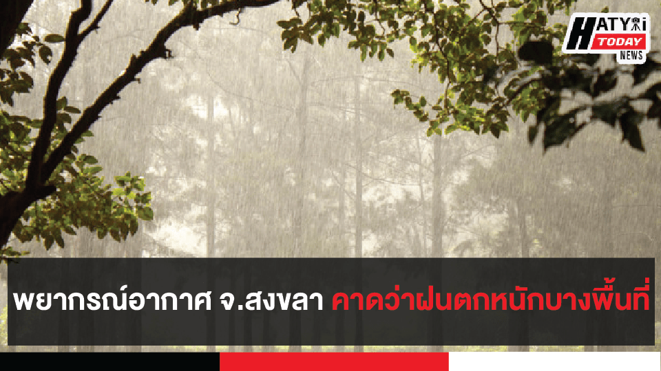 ปกข่าวแบบขนาด เฟสนายก [recovered] 01