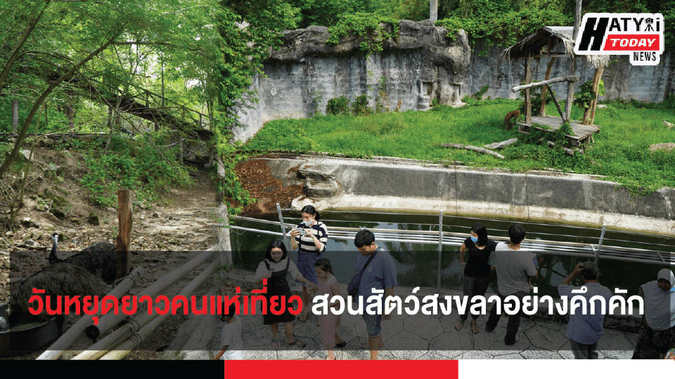 ปกข่าวแบบขนาด เฟสนายก [recovered] 01