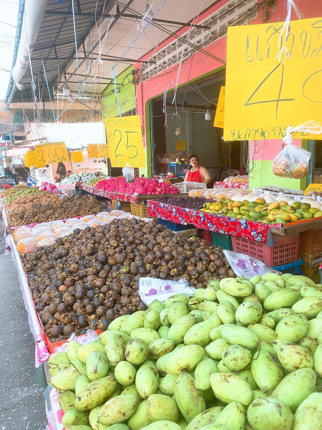 ร้านผลไม้ย่านราฏอุทิศสงขลา ใจดียื่นมือช่วยเหลือกลุ่มอาสารักษ์ลิงเขาตังกวน