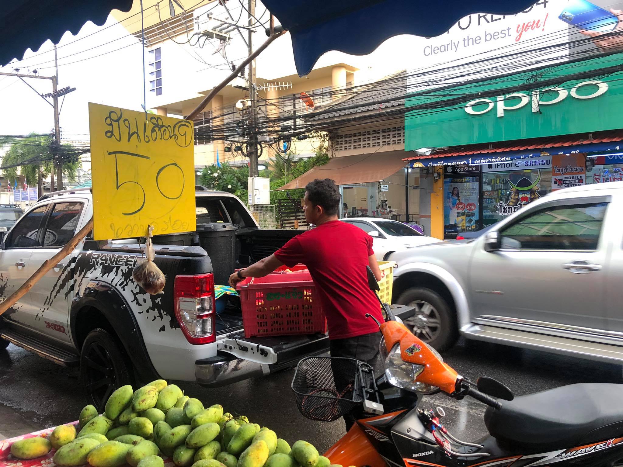 ร้านผลไม้ย่านราฏอุทิศสงขลา ใจดียื่นมือช่วยเหลือกลุ่มอาสารักษ์ลิงเขาตังกวน