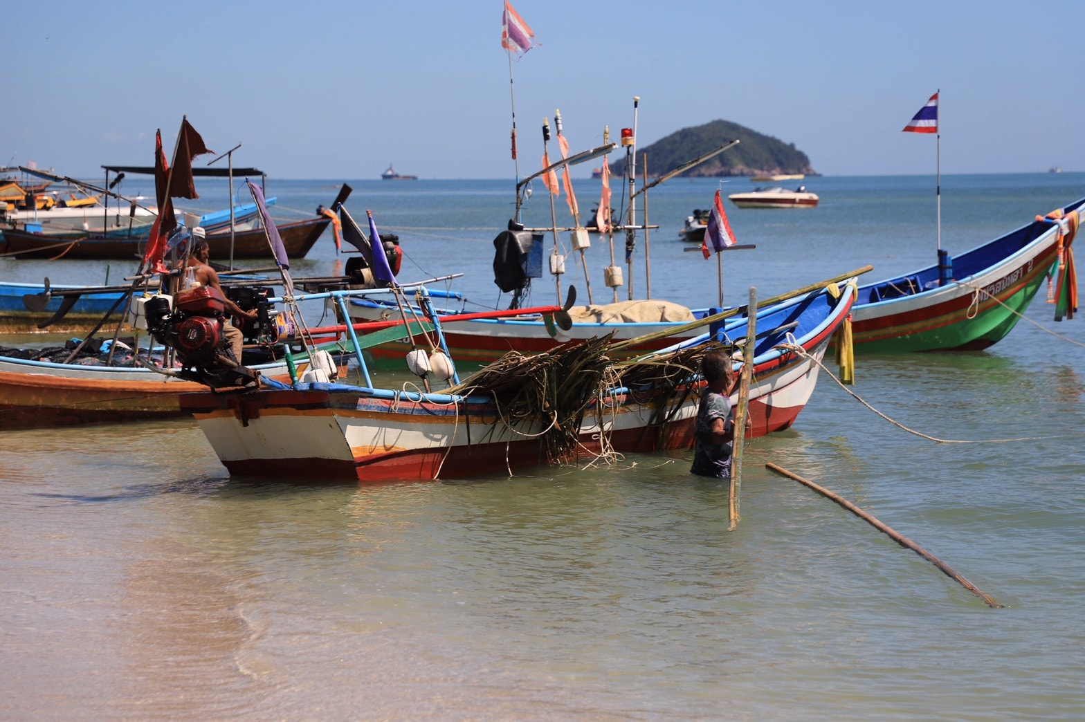 รองผู้ว่าฯสงขลา ปล่อยเต่าตนุ และปล่อยขบวนเรือวางซั้งปลา ในพื้นที่เกาะแมวเกาะหนู 