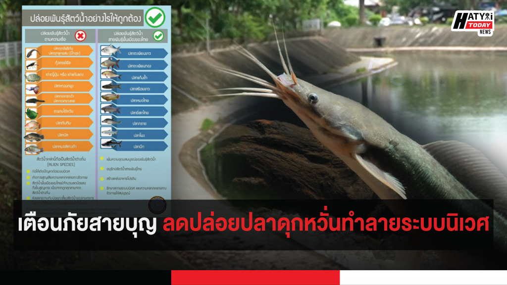 ปกข่าวสำหรับเฟส [recovered] 01