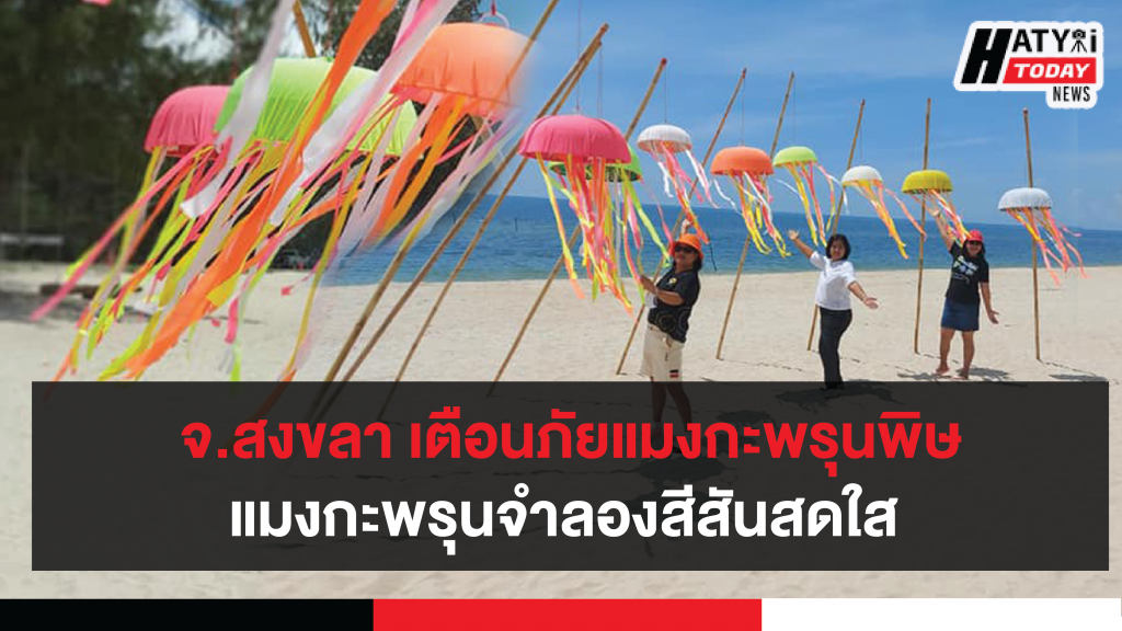 จ.สงขลา ริมหาดม่วงงาม เตือนภัยแมงกะพรุนพิษ สร้างแมงกะพรุนจำลองสีสันสดใส