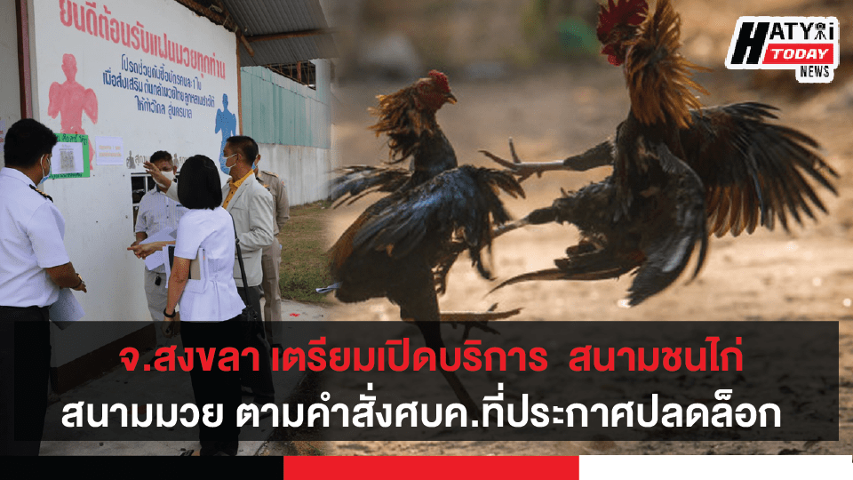 จ.สงขลา เตรียมเปิดบริการ สนามชนโค สนามชนไก่ สนามมวย ตามคำสั่งศบค.ที่ประกาศปลดล็อก