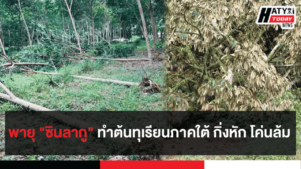 ทุเรียน