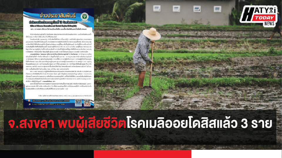 ปกข่าวแบบขนาด เฟสนายก [recovered] 01