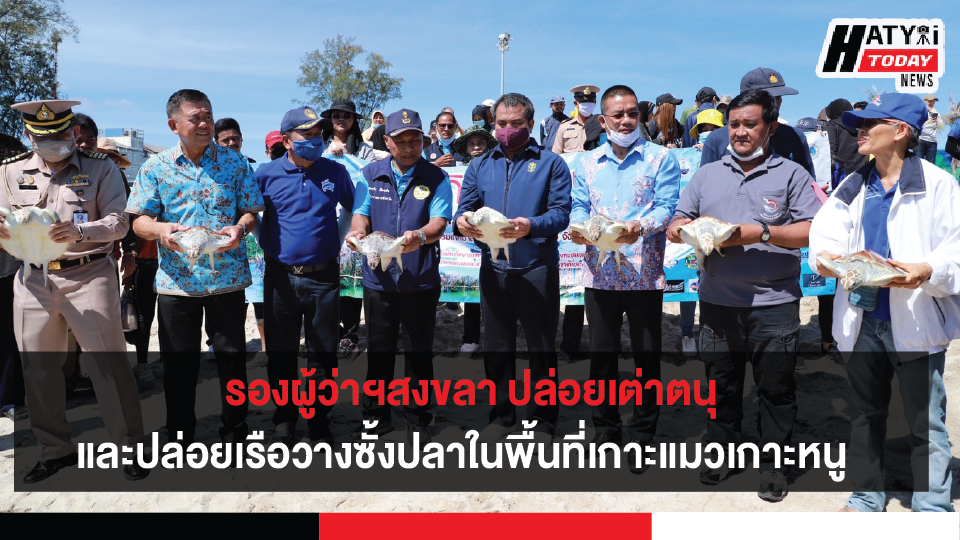 รองผู้ว่าฯสงขลา ปล่อยเต่าตนุ และปล่อยขบวนเรือวางซั้งปลา ในพื้นที่เกาะแมวเกาะหนู