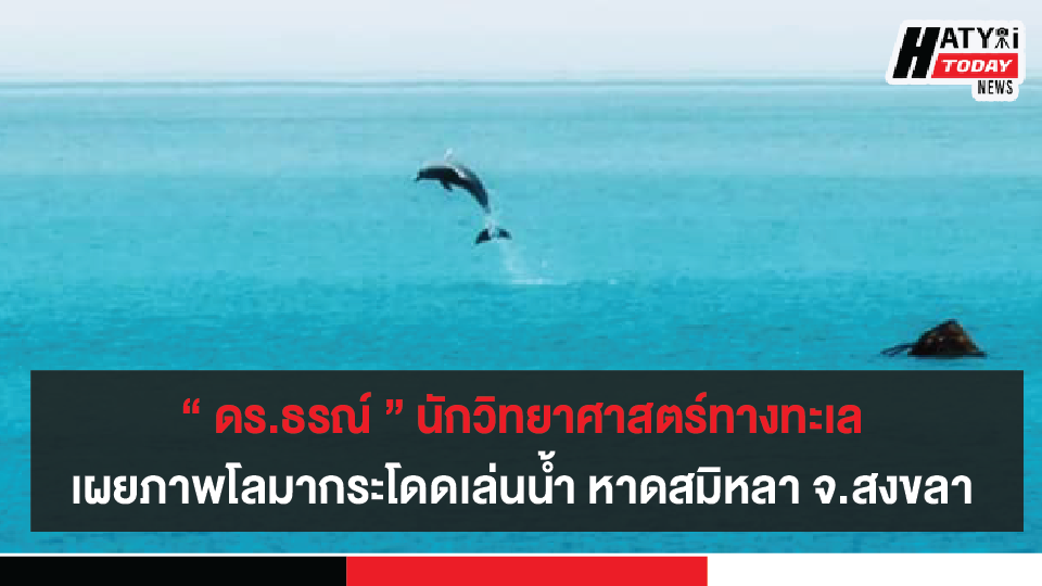 ดร.ธรณ์ นักวิทยาศาสตร์ทางทะเล เผยภาพโลมากระโดดเล่นน้ำ หาดสมิหลา จ.สงขลา