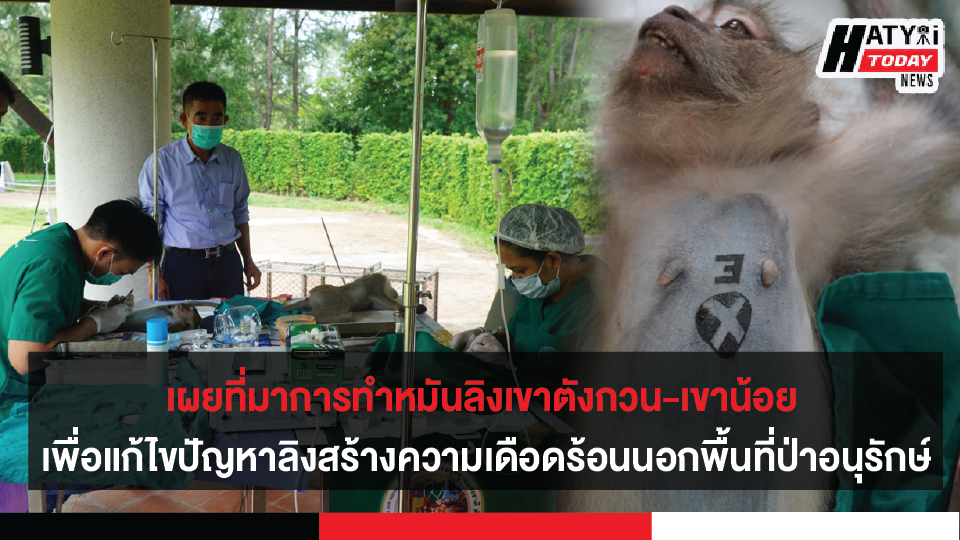 ปกข่าวใหม่ 01