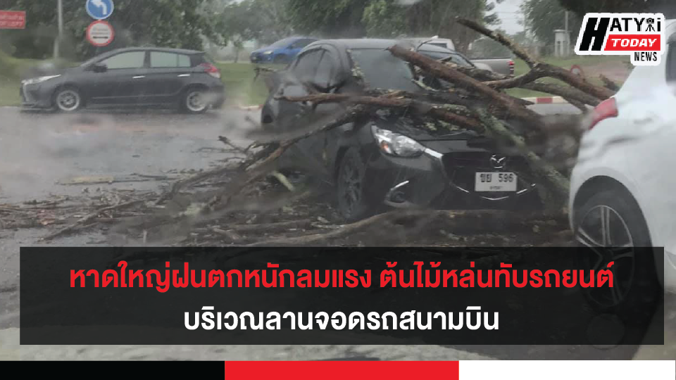 หาดใหญ่ฝนตกหนักลมแรง ต้นไม้หล่นทับรถยนต์ บริเวณลานจอดรถสนามบิน