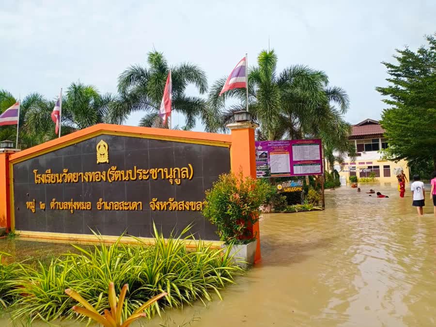              ที่จังหวัดสงขลาผลพวงจากฝนที่ตกสะสมต่อเนื่องมา 2 วัน ทำให้ขณะนี้หลายพื้นที่เริ่มได้รับผลกระทบจากน้ำล้นตลิ่งและน้ำป่าที่ไหลหลากเข้าท่วมในหมู่บ้าน เช่นในพื้นที่หมู่ 4 ต.ทุ่งหมอ อ.สะเดา น้ำป่าจากเทือกเขาแก้วที่ขุ่นและเหลือง ได้ไหลบ่าเข้าท่วมบ้านเรือนชาวบ้านที่อยู่ในที่ลุ่มหลายสิบหลัง รวมทั้งโรงเรียนวัดยางทอง(รัตนประชานุกูล)และวัดยางทองที่อยู่ติดกัน ทำให้ในวันนี้โรงเรียนวัดยางทองต้องปิดชั่วคราวไปจนกว่าสถานการณ์จะคลี่คลาย นอกจากนี้น้ำยังได้ไหล่บ่าท่วมถนนและสวนยางของชาวบ้าน                   นอกจากนี้ ในพื้นที่หมู่ 4 ต.ปริก อ.สะเดา ก็มีรายงานว่าน้ำได้ท่วมสวนยางพาราของชาวบ้านเช่นกัน โดยขณะนี้ทางองค์กรปกครองส่วนท้องถิ่นในพื้นที่รวมทั้งฝ่ายปกครองอำเภอสะเดากำลังเร่งลงพื้นที่เพื่อช่วยเหลือชาวบ้านที่ได้รับผลกระทบ อย่างไรก็ตามแม้ว่าในวันนี้ฝนเริ่มขาดตอนแต่ก็ยังไม่ปลอดภัยเพราะอาจจะมีฝนตกลงมาซ้ำอีกในระยะนี้ประชาชนที่อยู่ในพื้นที่เสี่ยงภัยยังต้องระวังและควรเก็บของขึ้นที่สูง