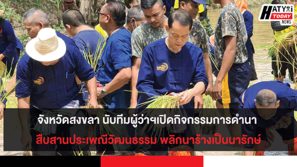 จังหวัดสงขลา เปิดกิจกรรมการดำนา สืบสานประเพณีวัฒนธรรม พลิกนาร้างเป็นนารักษ์