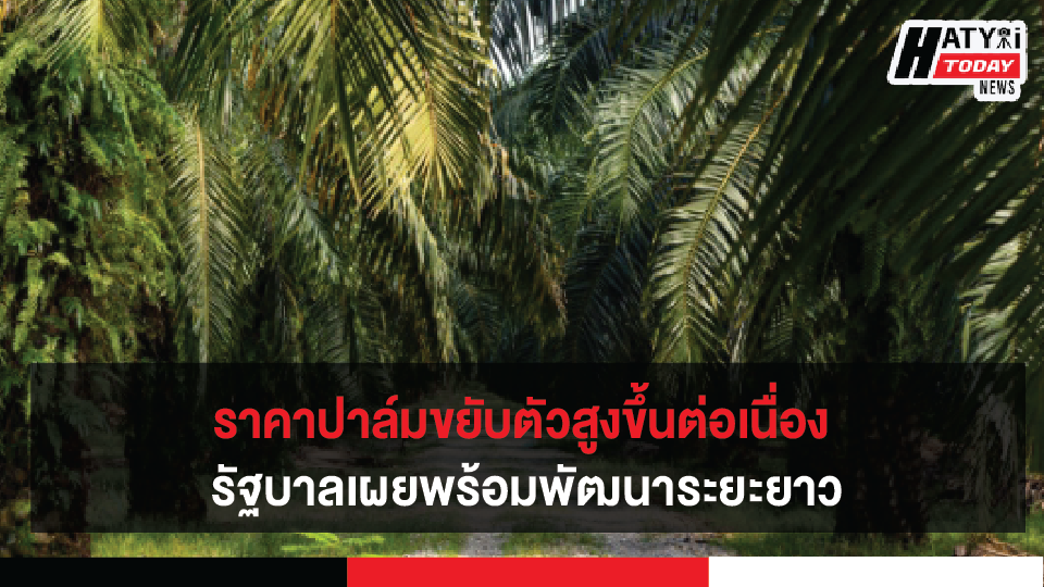 ปกข่าวใหม่ 01