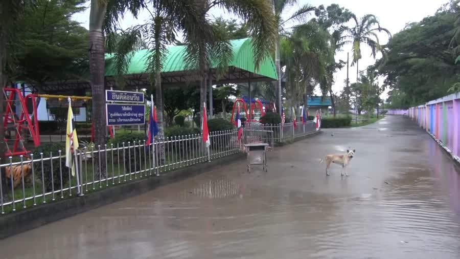 สถานการณ์น้ำท่วมในพื้นที่อ.รัตภูมิ จ.สงขลา  ขณะนี้สถานการณ์เข้าสู่ภาวะปกติแล้ว 