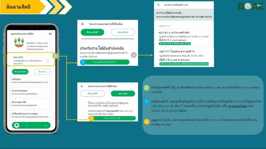 เกษตรกร เฮ เริ่มแล้วโครงการประกันรายได้ข้าวนาปี 2563/64 ภาคใต้เร่งขึ้นเกษตรกรผู้ปลูกข้าวอีกไร่ละ 500 บาท