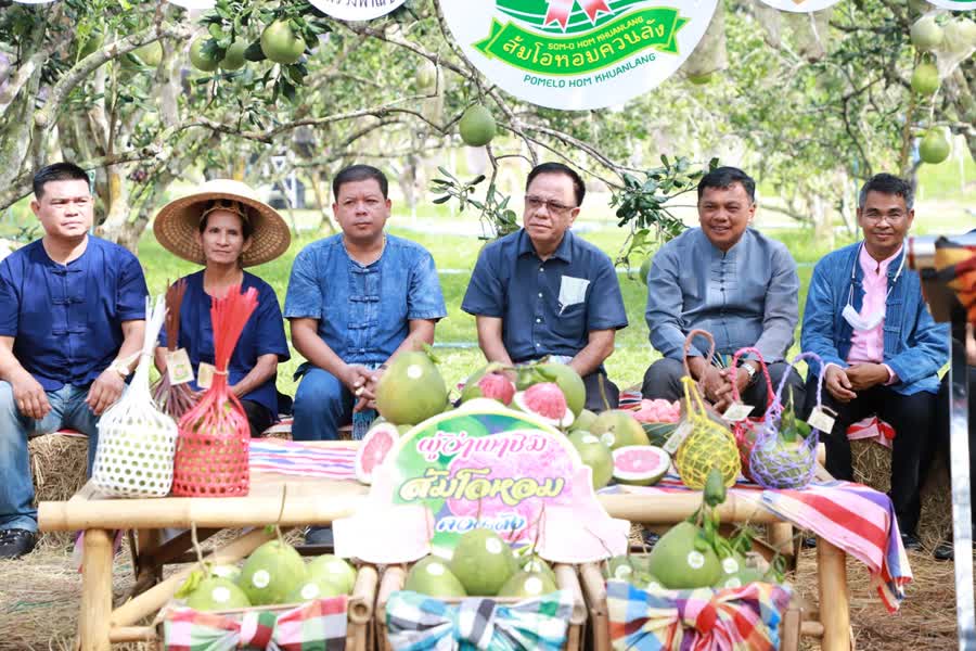 จังหวัดสงขลาเปิดตัว ส้มโอหอมควนลังสาวน้อยสีชมพู สินค้าทางการเกษตรของดีตำบลควนลัง
