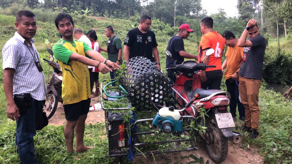 ชุดตะวัน สภ.หาดใหญ่ รวบจับหมู รัตภูมิพร้อมพวก บริเวณขนำกลางสวนยางพารา อ.รัตภูมิ จ.สงขลา