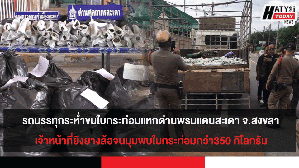 ปกข่าวสำหรับเฟส5 11 1 1 1