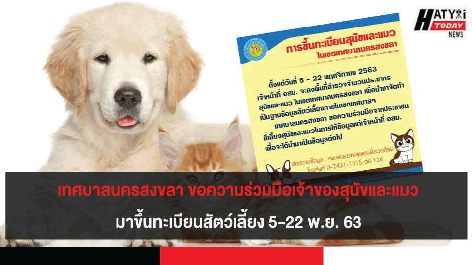 เทศบาลนครสงขลา ขอความร่วมมือเจ้าของสุนัขและแมวมาขึ้นทะเบียนสัตว์เลี้ยง 5-22 พ.ย. 63