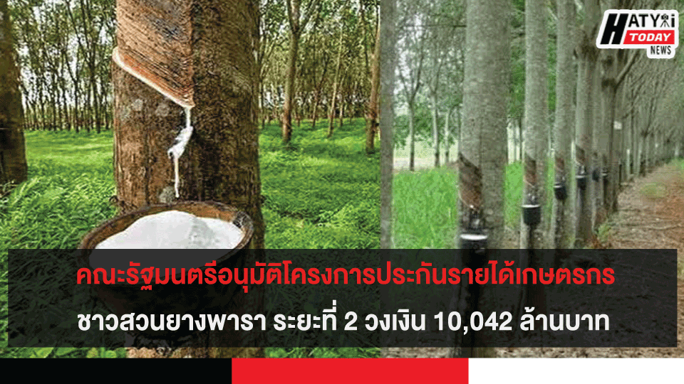 คณะรัฐมนตรีอนุมัติโครงการประกันรายได้เกษตรกรชาวสวนยางพารา ระยะที่ 2 วงเงิน 10,042 ล้านบาท