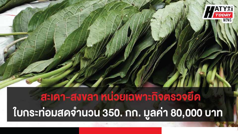 สะเดา-สงขลา หน่วยเฉพาะกิจตรวจยึดใบพืชกระท่อมสดจำนวน350. กก. มูลค่า 80,000 บาท