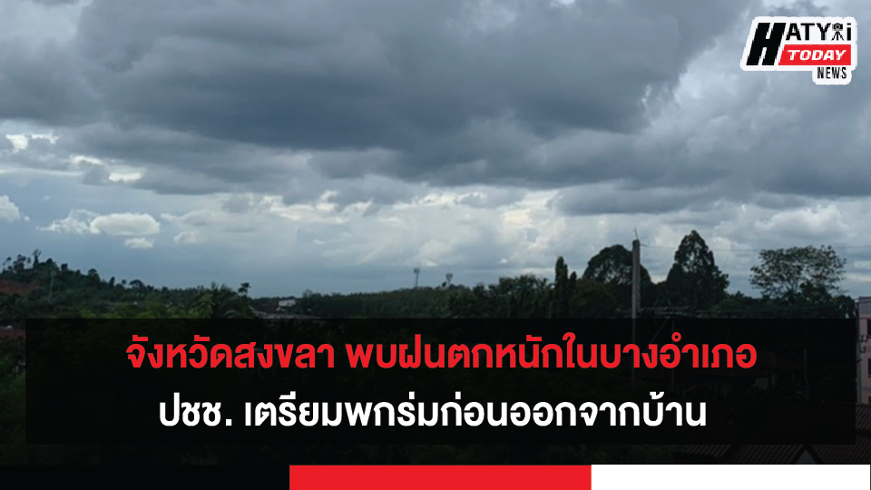 ปกข่าวใหม่ 01